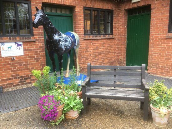 Animal Health Trust Visitor Centre